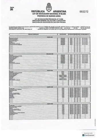 Certificado académico argentino anonimizado, página 1.